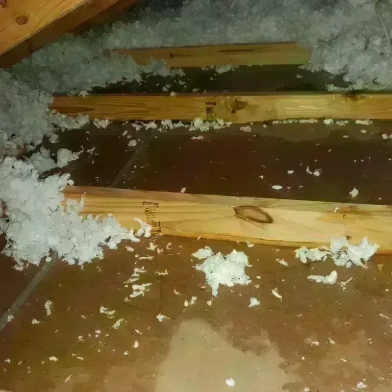 Attic Water Damage in Highland Village, TX